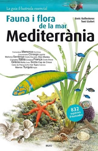 FAUNA I FLORA DE LA MAR MEDITERRANIA | 9788415885979 | ENRIC BALLESTEROS & TONI LLOBET