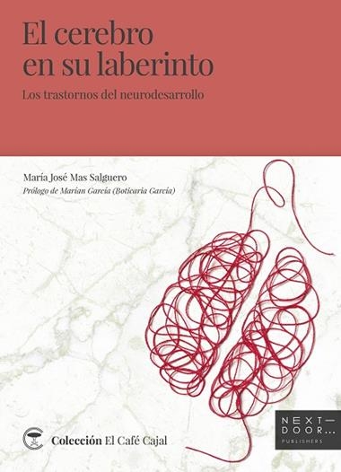 El cerebro en su laberinto | 9788412159813 | María José Mas Salguero