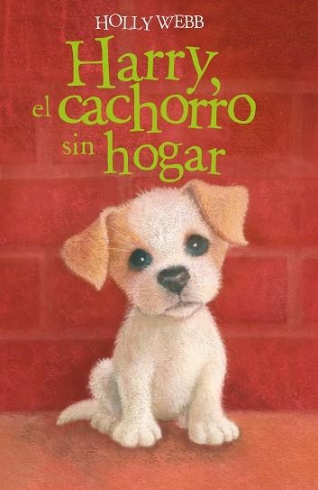 Harry el cachorro sin hogar | 9788418139376 | HOLLY WEBB
