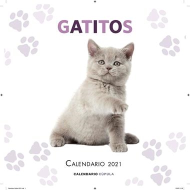 CALENDARI DE PARET 2021 GATITOS | 9788448027681 | VVAA