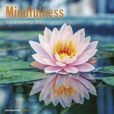 CALENDARI DE PARET 2021 MINDFULNESS | 9788448027735 | VVAA