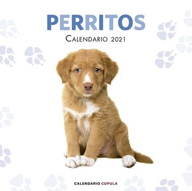 CALENDARI DE PARET 2021 PERRITOS | 9788448027766 | VVAA