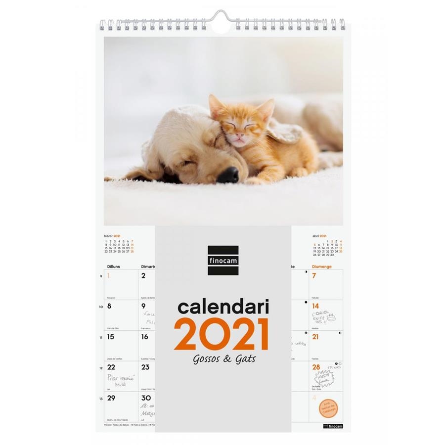 CALENDARI DE PARET 2021 GOSSOS I GATS | 8422952304265 | FINOCAM