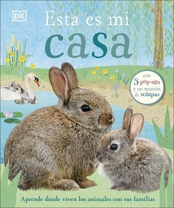 ESTA ES MI CASA | 9780241469255 | VVAA