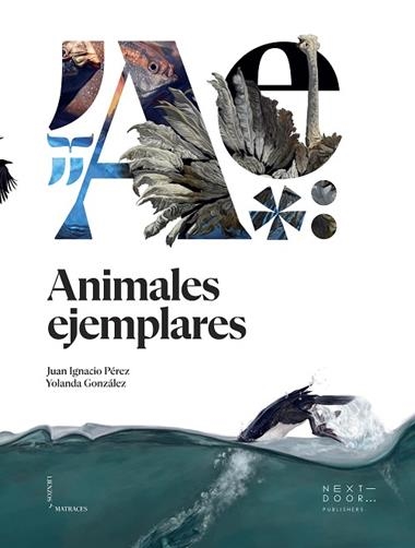 Animales ejemplares | 9788412159899 | Juan Ignacio Pérez Iglesias