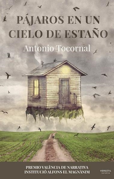 Pájaros en un cielo de estaño | 9788412272512 | ANTONIO TOCORNAL