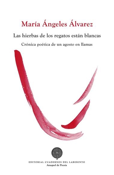 Las hierbas de los regatos están blancas | 9788412207620 | MARIA ANGELES ALVAREZ