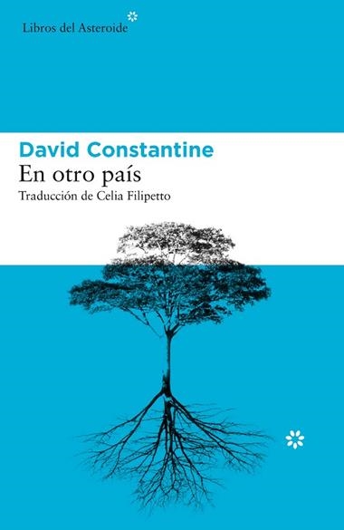 EN OTRO PAÍS | 9788417977016 | DAVID CONSTANTINE