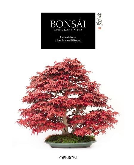 BONSÁI | 9788441537118 | CARLOS LÁZARO & JOSE MANUEL BLÁZQUEZ
