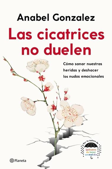 Las cicatrices no duelen | 9788408239093 | Anabel Gonzalez