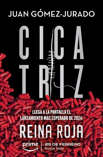 CICATRIZ | 9788413143231 | JUAN GOMEZ-JURADO