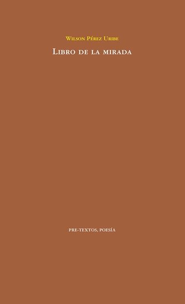 Libro de la mirada | 9788418178108 | Wilson Pérez Uribe
