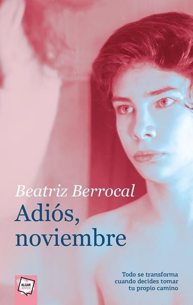 ADIÓS NOVIEMBRE | 9788491424611 | BEATRIZ BERROCAL PÉREZ