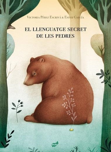 EL LLENGUATGE SECRET DE LES PEDRES | 9788418702013 | VICTORIA PÉREZ ESCRIVÁ & ESTER GARCIA