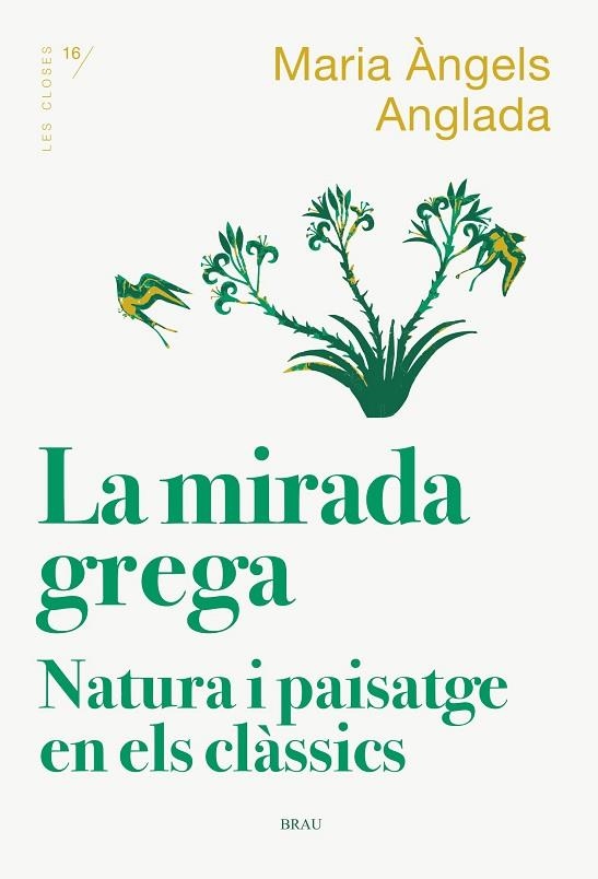 LA MIRADA GREGA | 9788418096167 | MARIA ANGELS ANGLADA I D'ABADAL