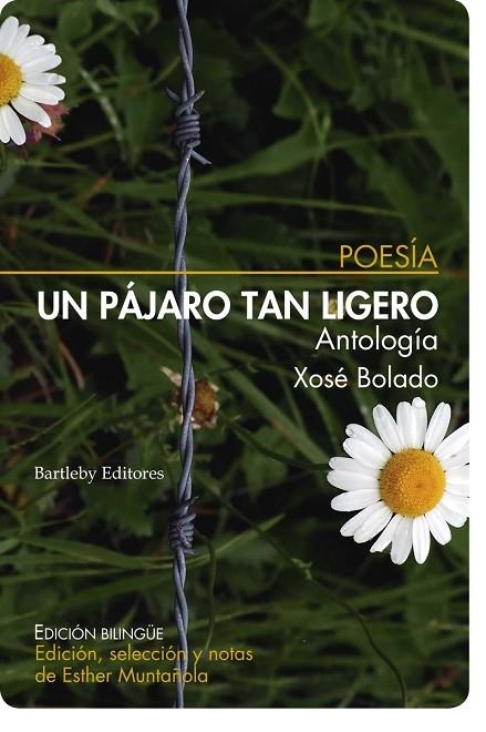 Un pájaro tan ligero | 9788412265071 | XOSE BOLADO