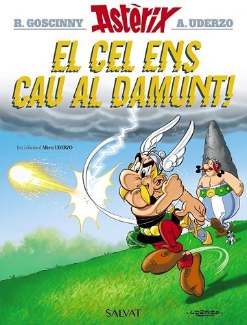 ASTERIX 33 EL CEL ENS CAU AL DAMUNT | 9788469603130 | RENE GOSCINNY & ALBERT UDERZO