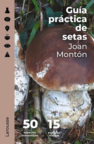 GUÍA PRÁCTICA DE SETAS | 9788418473845 | JOAN MONTÓN