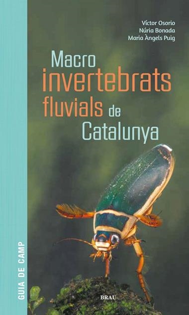 MACRO INVERTEBRATS FLUVIALS DE CATALUNYA | 9788418096204 | OSORIO & BONADA & PUIG