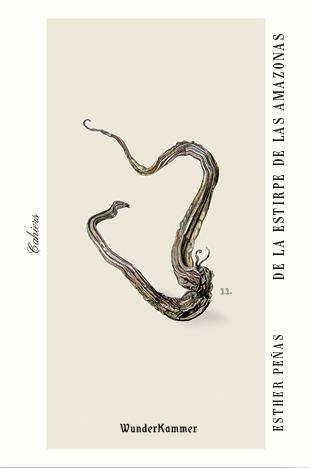 De la estirpe de las amazonas | 9788412401004 | ESTHER PEÑAS DOMINGO