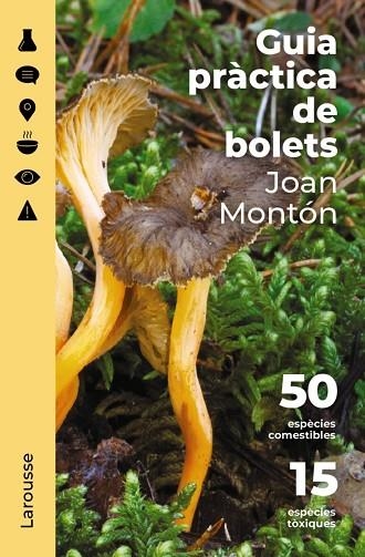GUIA PRÀCTICA DE BOLETS | 9788418473852 | JOAN MONTÓN MARTÍNEZ