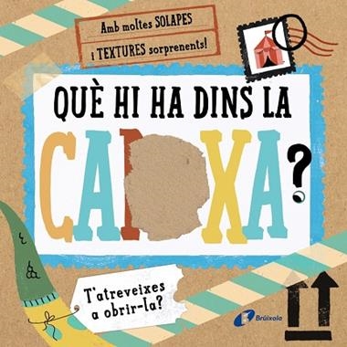QUE HI HA DINS LA CAIXA? | 9788413490830 | ISABEL OTTER