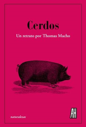 Cerdos | 9788412403398 | THOMAS MACHO