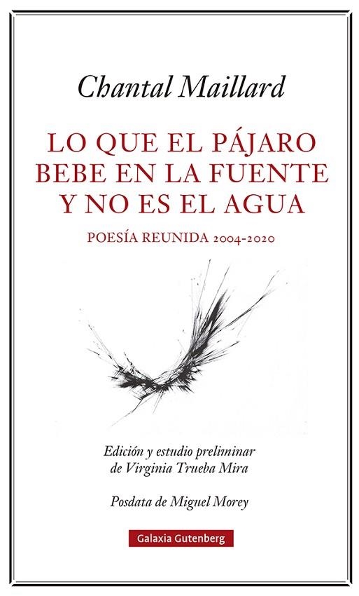 Lo que el pájaro bebe en la fuente y no es el agua | 9788418807633 | Chantal Maillard