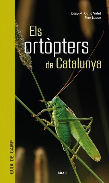 ELS ORTOPTERS DE CATALUNYA | 9788418096266 | VV.AA.