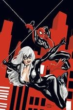 MARVEL MUST-HAVE SPIDERMAN Y LA GATA NEGRA EL MAL QUE HACEN LOS HOMBRES | 9788411011891 | TERRY DODSON & KEVIN SMITH