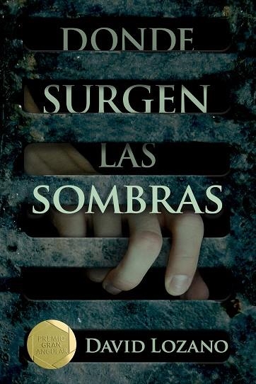 Donde surgen las sombras | 9788467596854 | David Lozano Garbala