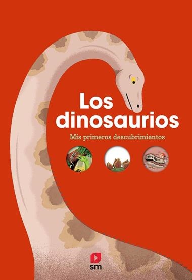 Dinosaurios | 9788413189598 | VVAA