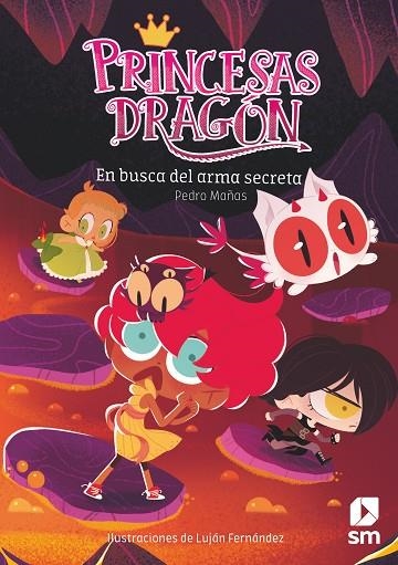 PRINCESAS DRAGON 13 EN BUSCA DEL ARMA SECRETA | 9788413922812 | PEDRO MAÑAS ROMERO