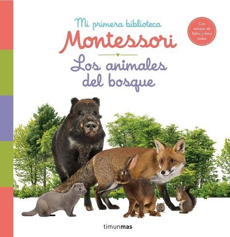 Los animales del bosque | 9788408244608 | VVAA