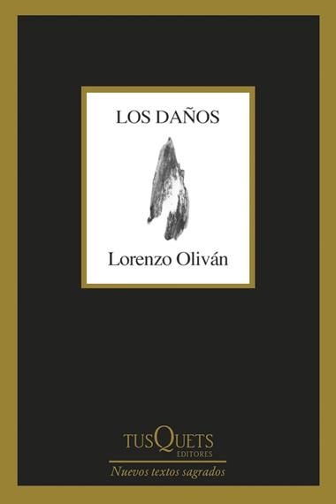 Los daños | 9788411071307 | Lorenzo Oliván