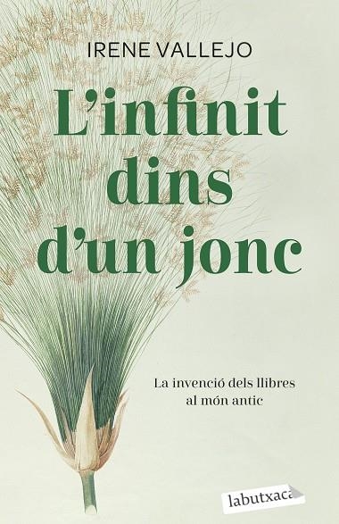 L'infinit dins d'un jonc | 9788419107121 | Irene Vallejo