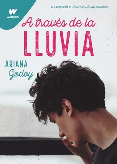 A TRAVES DE LA LLUVIA | 9788418483196 | ARIANA GODOY