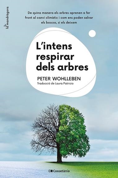 L'INTENS RESPIRAR DELS ARBRES | 9788413562087 | PETER WOHLLEBEN