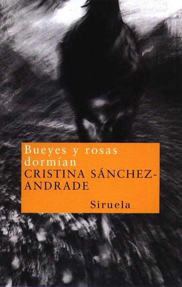 BUEYES Y ROSAS DORMIAN | 9788478445462 | CRISTINA SANCEHZ-ANDRADE