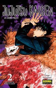 JUJUTSU KAISEN 02 | 9788467957563 | GEGE AKUTAMI