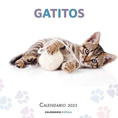 CALENDARIO 2023 GATITOS | 9788448029784 | VVAA