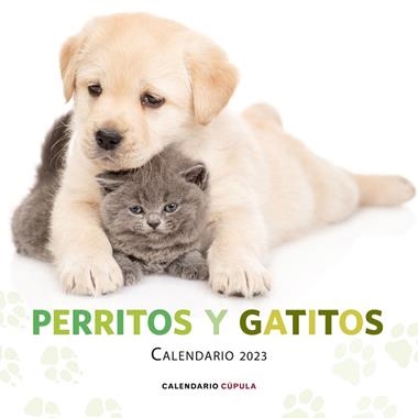 CALENDARIO 2023 PERRITOS Y GATITOS | 9788448029807 | VVAA
