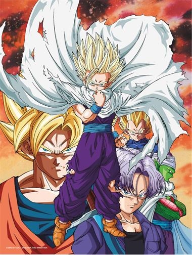 DRAGON BALL Z HEROES VS CELL POSTER DE VIDRIO | 8435450249952 | BIRD STUDIO SHUEISHA TOI ANIMATION
