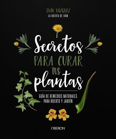 SECRETOS PARA CURAR TUS PLANTAS | 9788441547162 | IVÁN VÁZQUEZ MUÑOZ
