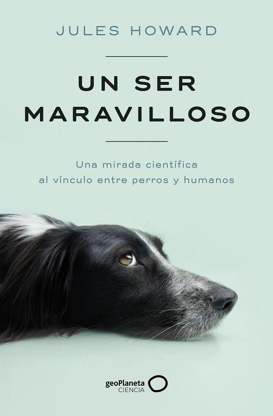 UN SER MARAVILLOSO | 9788408269328 | JULES HOWARD