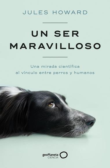 UN SER MARAVILLOSO | 9788408269328 | JULES HOWARD