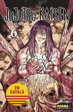 JUJUTSU KAISEN 06 | 9788467957600 | GEGE AKUTAMI