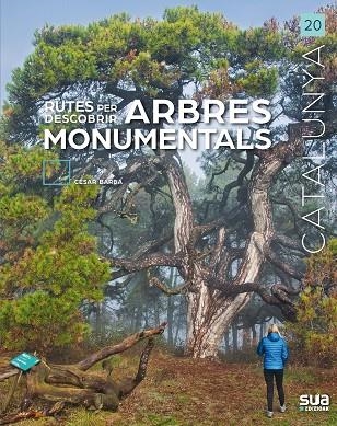 RUTES PER DESCOBRIR ARBRES MONUMENTALS | 9788482168197 | CESAR BARBA