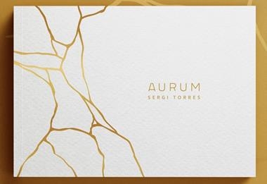 AURUM | 9788409480173 | SERGI TORRES BALDÓ