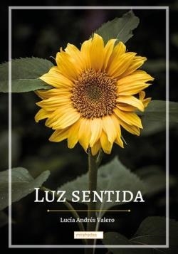 Luz sentida | 9788419973139 | LUCIA ANDRES VALERO